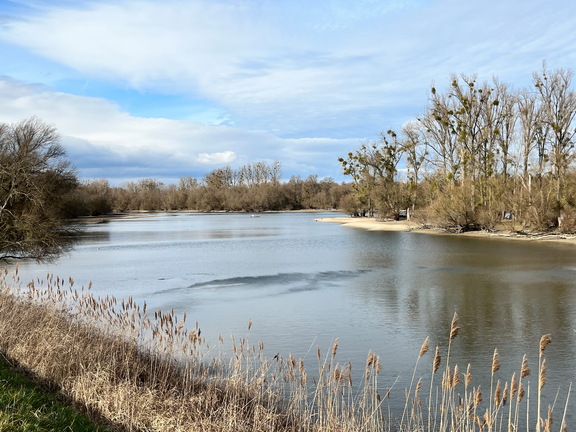 23-02-18 14-16-33 4249